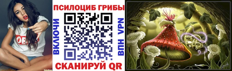 Галлюциногенные грибы Cubensis  кракен как зайти  Орёл 